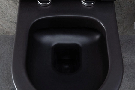Унитаз подвесной Allen Brau Priority 4.31001.31 с крышкой, черный матовый