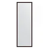 Зеркало в багетной раме Evoform Definite BY 0707 48 x 138 см, махагон