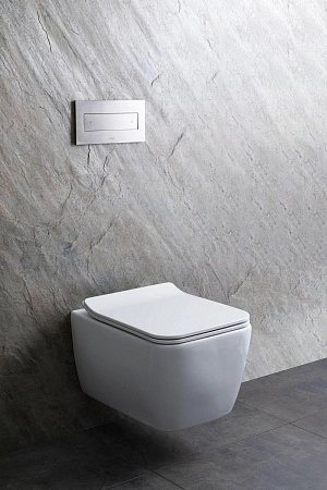 Унитаз подвесной Allen Brau Liberty 4.33007.20 с крышкой, белый