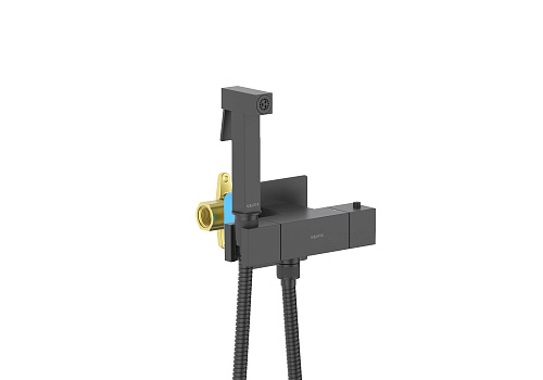 Гигиенический душ Aquatek ЛИБРА AQ1028MB Черный матовый, встраиваемый Гигиенический душ Aquatek ЛИБРА AQ1028MB Черный матовый, встраиваемый