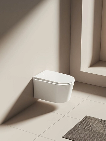 Унитаз подвесной Allen Brau Smart 4.I1001.20 с крышкой, белый, с функцией биде