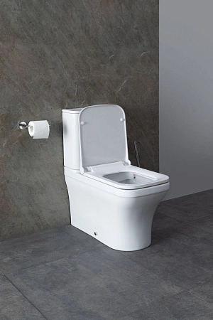 Чаша напольного унитаза Allen Brau Infinity 4.21012.20 с крышкой, белый глянец