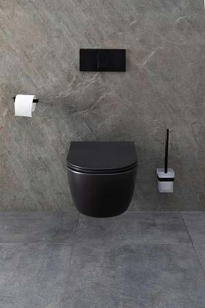 Унитаз подвесной Allen Brau Priority 4.31001.31 с крышкой, черный матовый