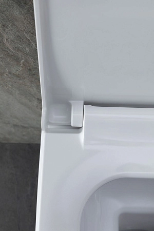 Унитаз подвесной Allen Brau Infinity 4.21011.20 с крышкой, белый глянец