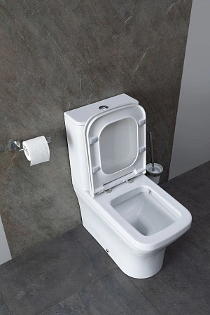 Чаша напольного унитаза Allen Brau Infinity 4.21012.20 с крышкой, белый глянец