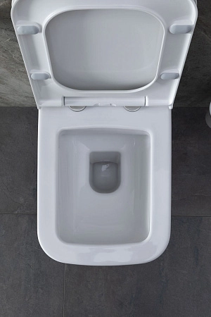 Унитаз подвесной Allen Brau Infinity 4.21011.20 с крышкой, белый глянец