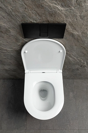 Унитаз подвесной Allen Brau Priority Tornado 4.31008.20 с крышкой, белый глянец