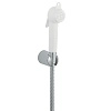 Гигиеническая лейка Grohe Trigger Spray 27812IL0
