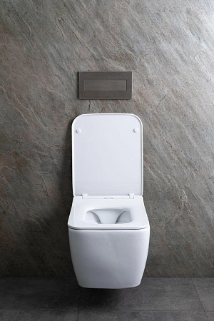 Унитаз подвесной Allen Brau Liberty 4.33007.20 с крышкой, белый