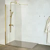 Душевая перегородка RGW Walk In WA-002G 900 мм 35100209-16 золото, Easy Clean