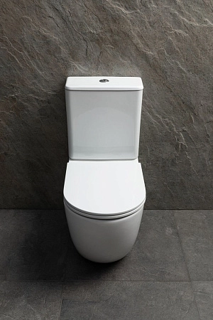 Чаша напольного унитаза Allen Brau Priority Tornado 4.31006.20 с крышкой, белый глянец