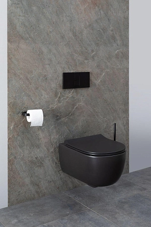 Унитаз подвесной Allen Brau Priority 4.31001.31 с крышкой, черный матовый