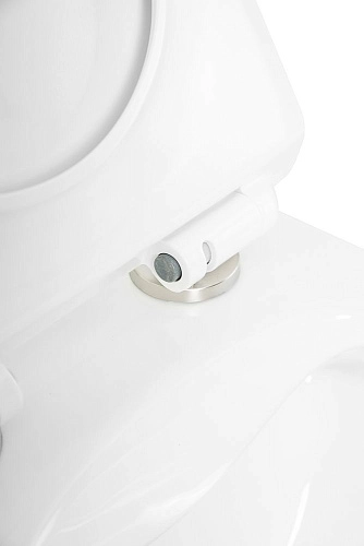 Унитаз подвесной BelBagno SELA BB3201CHR/BB3201SC безободковый с сиденьем Унитаз подвесной BelBagno SELA BB3201CHR/BB3201SC безободковый с сиденьем