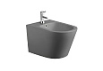 Биде подвесное Aquatek ВЕГА AQ1057-MG 530x360x330, цвет серый матовый Биде подвесное Aquatek ВЕГА AQ1057-MG 530x360x330, цвет серый матовый