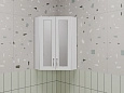 Шкаф-пенал Style Line 450/800 угловой (стекло) ЛС-00002331 Шкаф-пенал Style Line 450/800 угловой (стекло) ЛС-00002331