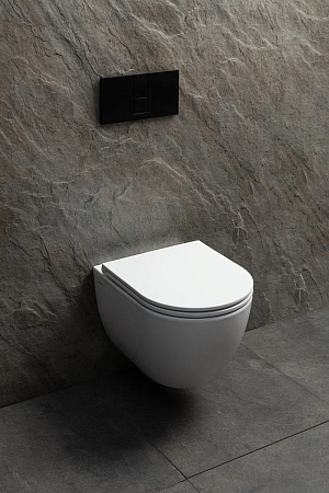 Унитаз подвесной Allen Brau Priority Tornado 4.31008.20 с крышкой, белый глянец