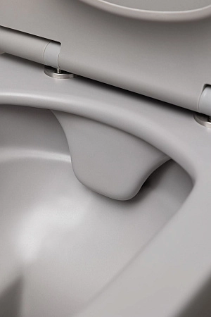 Унитаз подвесной Allen Brau Liberty 4.33007.AN с крышкой, антрацит