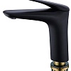 Смеситель для раковины RUSH Nevis (NE1735-12black) черный Смеситель для раковины RUSH Nevis (NE1735-12black) черный