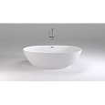 Ванна отдельностоящая Black&White Swan SB106 180х90 акриловая 106SB00 Ванна отдельностоящая Black&White Swan SB106 180х90 акриловая 106SB00