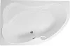 Акриловая ванна Aquanet Capri 170x110 L (с каркасом) 00205345