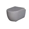 Унитаз подвесной Abner 103T20301R (545x360x330) матовый серый безободковый с толстой крышкой 103T20301R-102T20301