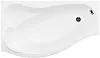 Акриловая ванна Aquanet Palma 170x90/60 L (с каркасом) 00205737