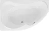 Акриловая ванна Aquanet Capri 160x100 L (с каркасом) 00205476