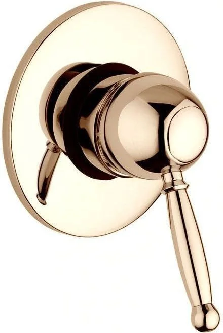 Смеситель для душа Paffoni Giorgia GI010BR (с внутренней частью) Смеситель для душа Paffoni Giorgia GI010BR (с внутренней частью)