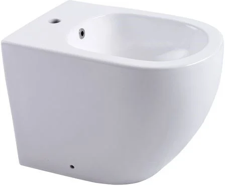 Биде напольное Aquanet Cetus 2.0 B1 LX-1831 Биде напольное Aquanet Cetus 2.0 B1 LX-1831