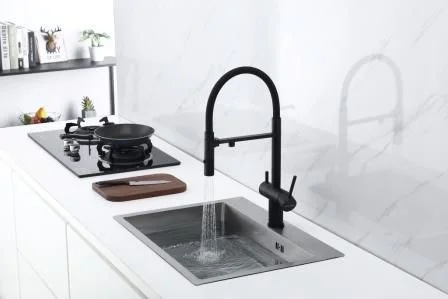 Смеситель для кухни Paulmark Gravity антрацит Gr213888-AN Смеситель для кухни Paulmark Gravity антрацит Gr213888-AN