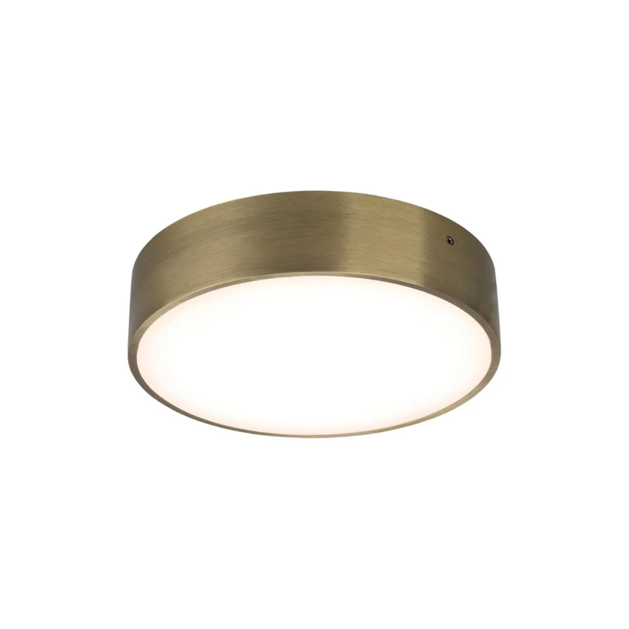 Светильник настенно-потолочный Aployt Evon APL.0114.29.18 Светильник настенно-потолочный Aployt Evon APL.0114.29.18