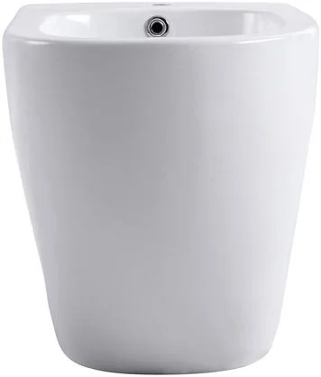 Биде напольное Aquanet Cetus 2.0 B1 LX-1831 Биде напольное Aquanet Cetus 2.0 B1 LX-1831