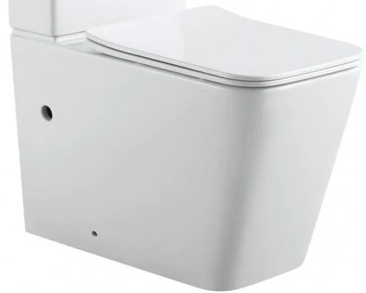 Чаша напольного унитаза Aquanet Rimless Tavr 2.0 C1 LX-2905 с сиденьем Чаша напольного унитаза Aquanet Rimless Tavr 2.0 C1 LX-2905 с сиденьем