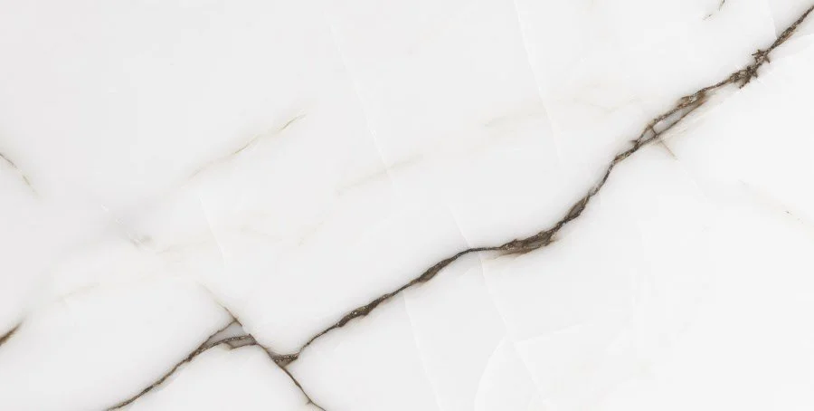 Керамогранит Neodom Onix One Fancy Grey Glossy 60x120 CV20195 Керамогранит Neodom Onix One Fancy Grey Glossy 60x120 CV20195