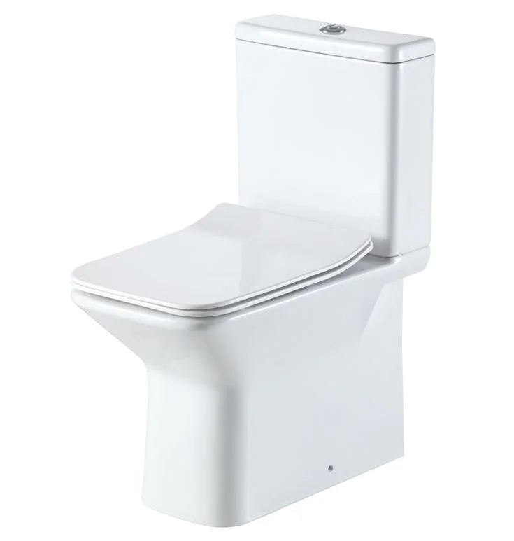 Унитаз напольный Delice Melanie Compact безободковый, с бачком, Крышка-сиденье Унитаз напольный Delice Melanie Compact безободковый, с бачком, Крышка-сиденье