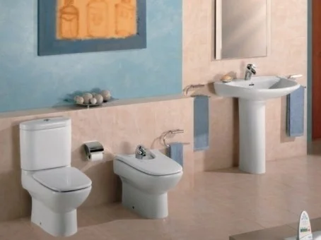 Чаша напольного унитаза Roca Giralda напольная 342466000 Чаша напольного унитаза Roca Giralda напольная 342466000