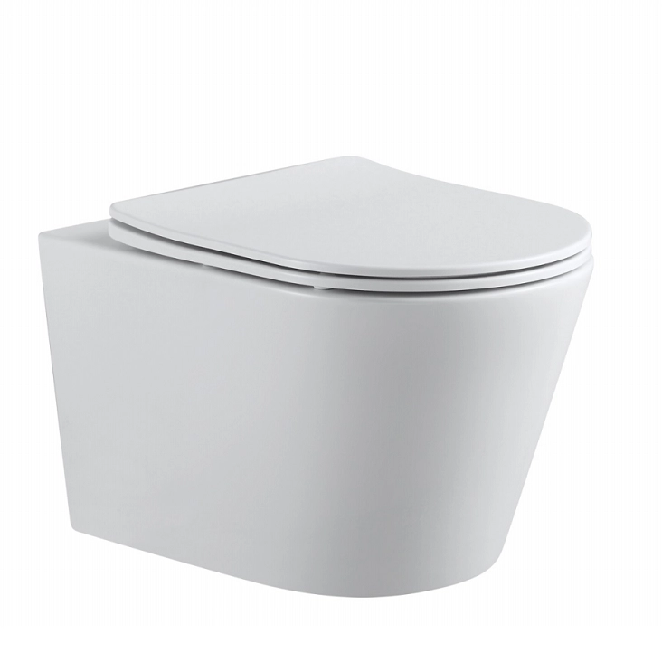 Унитаз подвесной Aquanet Rimless Atago 2.0 W LX-1905 с сиденьем Унитаз подвесной Aquanet Rimless Atago 2.0 W LX-1905 с сиденьем