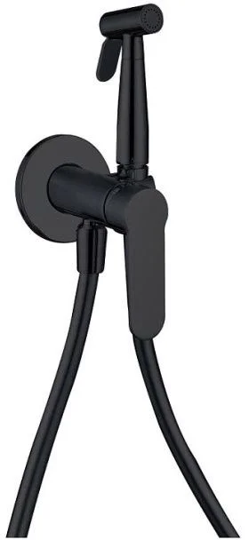 Гигиенический душ Aquanet Passion AF300-52B Гигиенический душ Aquanet Passion AF300-52B