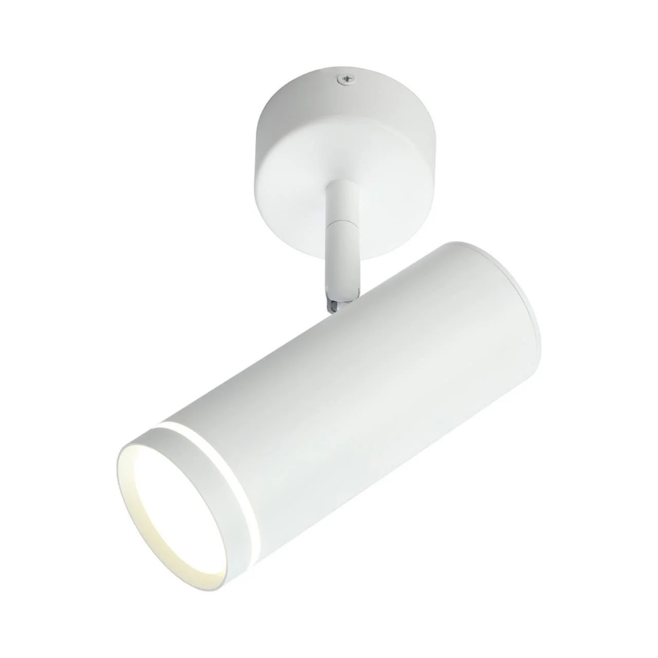 Светильник настенно-потолочный Omnilux Deruta OML-102219-12 Светильник настенно-потолочный Omnilux Deruta OML-102219-12