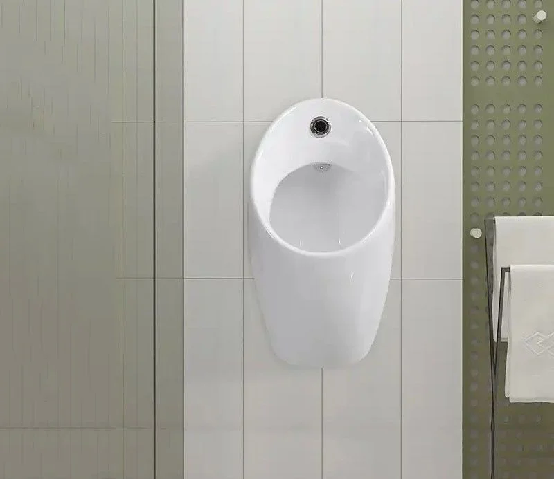 Писсуар CeramaLux X560P белый Писсуар CeramaLux X560P белый