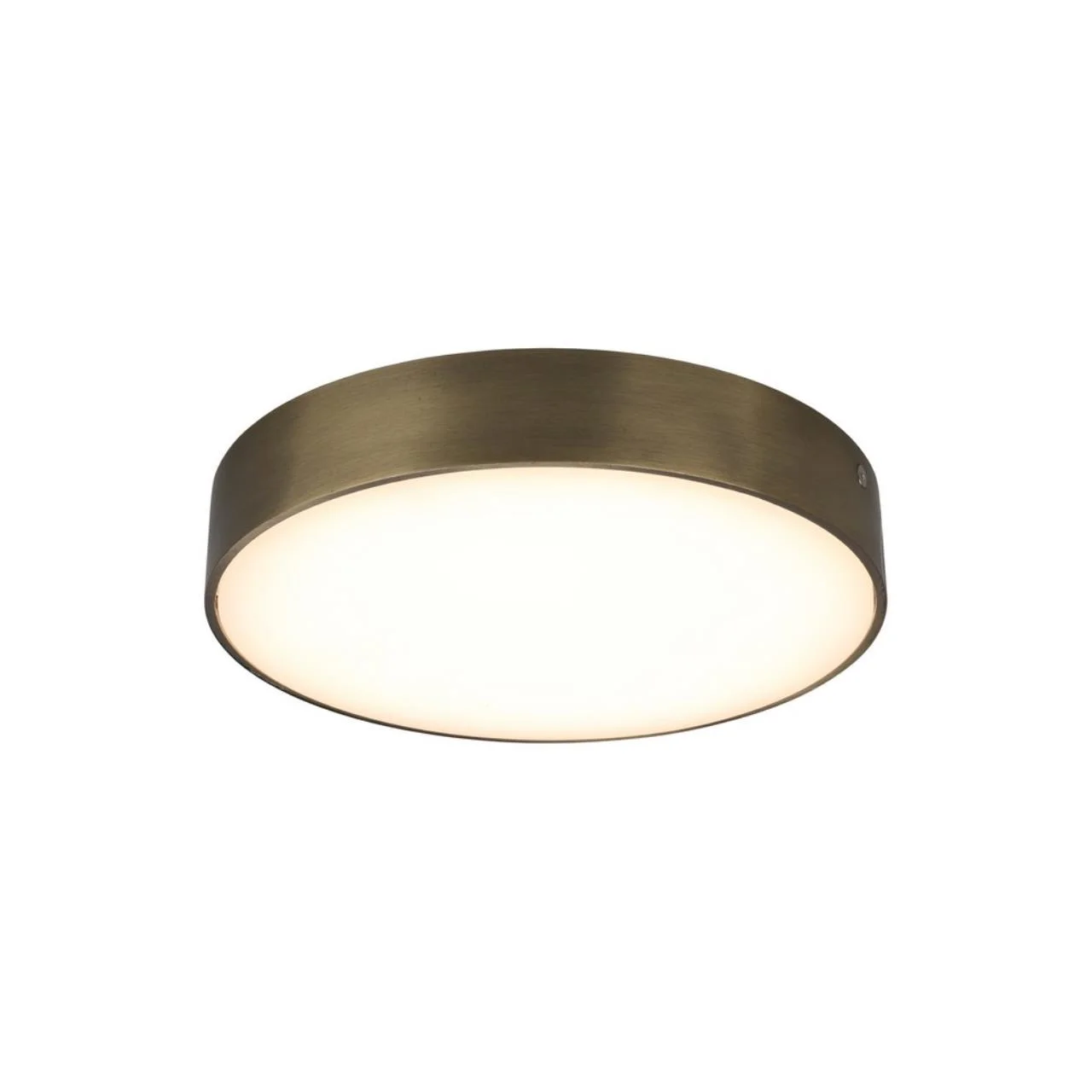 Светильник настенно-потолочный Aployt Evon APL.0113.29.24 Светильник настенно-потолочный Aployt Evon APL.0113.29.24