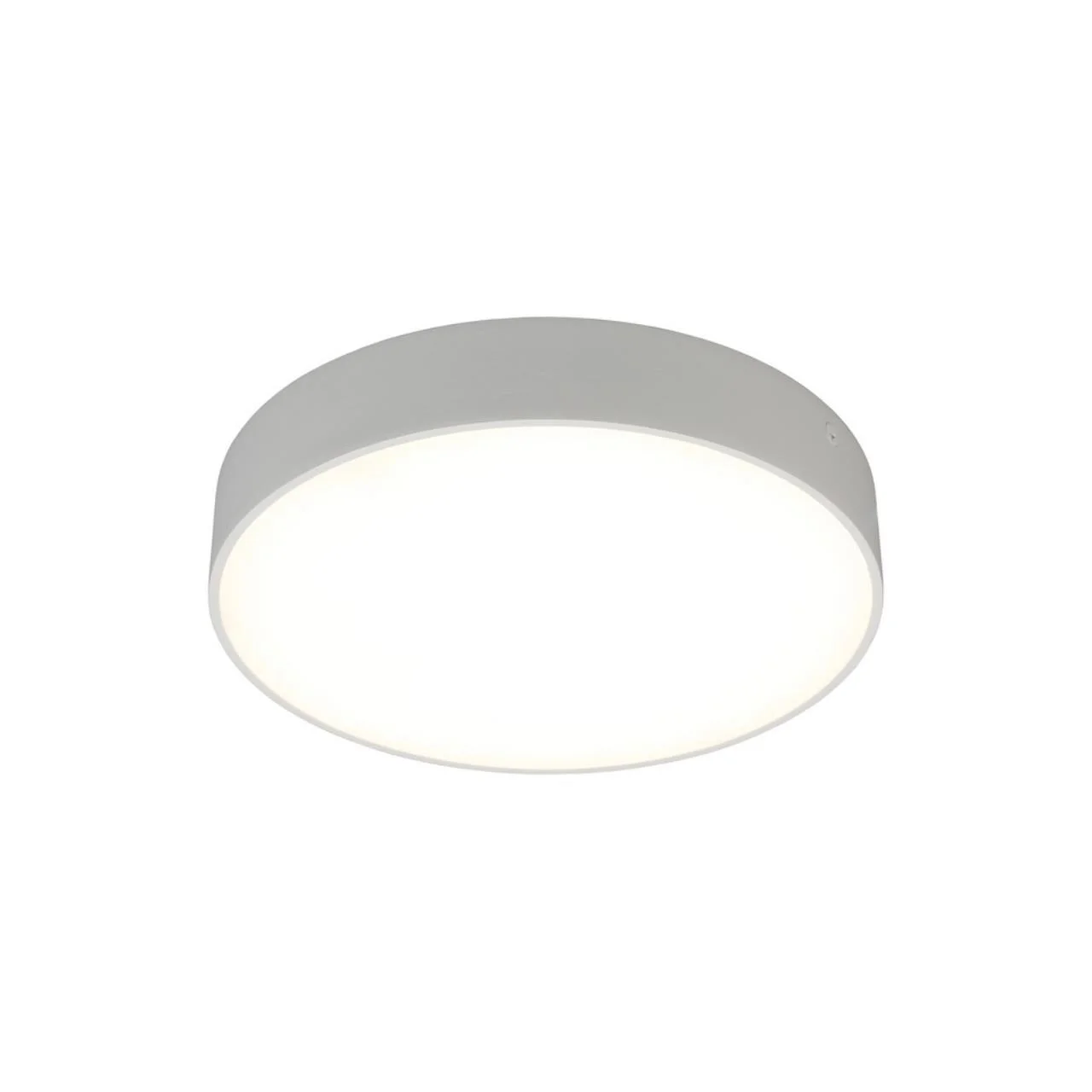 Светильник настенно-потолочный Aployt Evon APL.0114.09.24 Светильник настенно-потолочный Aployt Evon APL.0114.09.24