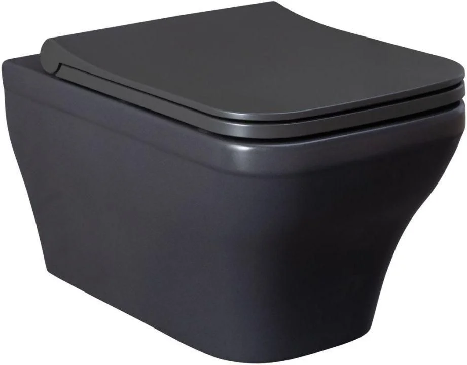 Унитаз подвесной Allen Brau Infinity 4.21011.AN с крышкой, антрацит Унитаз подвесной Allen Brau Infinity 4.21011.AN с крышкой, антрацит