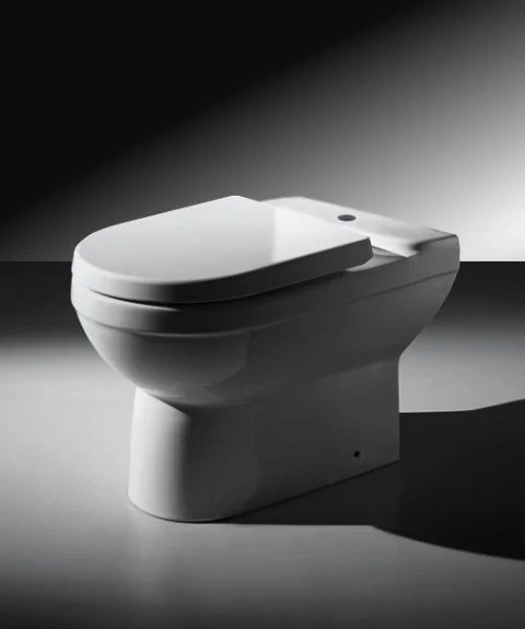 Чаша напольного унитаза Bravat New Moon CX01019UW-PS-RUS с сиденьем Чаша напольного унитаза Bravat New Moon CX01019UW-PS-RUS с сиденьем