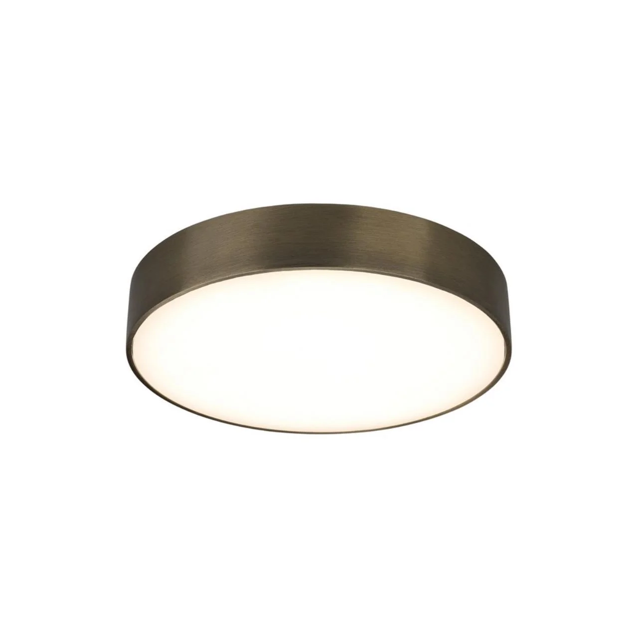 Светильник настенно-потолочный Aployt Evon APL.0114.29.24 Светильник настенно-потолочный Aployt Evon APL.0114.29.24