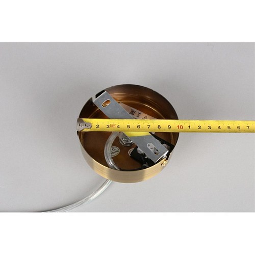 Люстра подвесная Aployt Letizia APL.314.03.10 Люстра подвесная Aployt Letizia APL.314.03.10