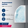 Акриловая ванна Aquanet Capri 160x100 R с каркасом 00205386 Акриловая ванна Aquanet Capri 160x100 R с каркасом 00205386