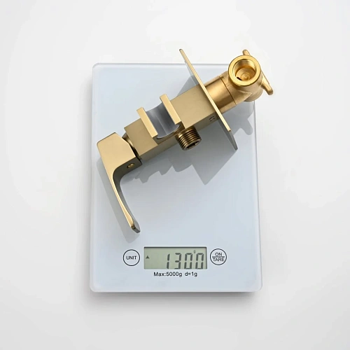 Гигиенический душ Raglo R01.52.03 встраиваемый, золотой сатин Гигиенический душ Raglo R01.52.03 встраиваемый, золотой сатин