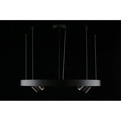 Люстра подвесная Aployt Jolanta APL.041.13.50 Люстра подвесная Aployt Jolanta APL.041.13.50