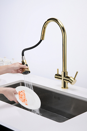 Смеситель для кухни Paulmark Lange золото La214212-G Смеситель для кухни Paulmark Lange золото La214212-G